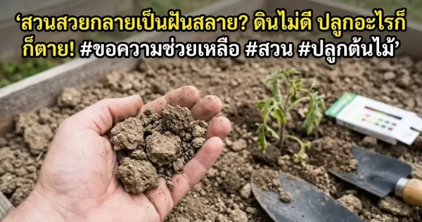 ดินในสวนไม่เหมาะสม ปลูกต้นไม้ไม่ขึ้นทำอย่างไร? ฝันสลายเพราะดินแย่! ปลูกอะไรก็ตาย ใครก็ได้ช่วยที!