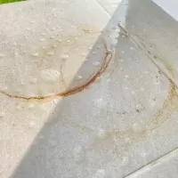 มาจิคลีนขวดเขียว เบาแรงขัดได้เยอะ ขัดทุกคราบ คราบมันนี่เหมาะเลย บ้านนี้ขัดรอยสนิมขัดรอยกระถางออกเฉย