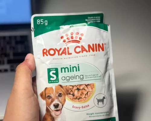 Royal Canin อาหารเปียกที่เปิดซองทีวิ่งมาเลย! รีวิวจากใจคนเลี้ยงหมากินยาก