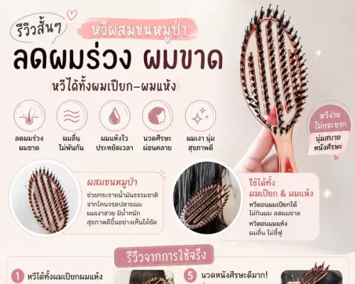 หวีขนหมูป่ารุ่นใหม่