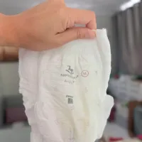 เพิสกลางคืน