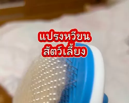 แปรงหวีขน