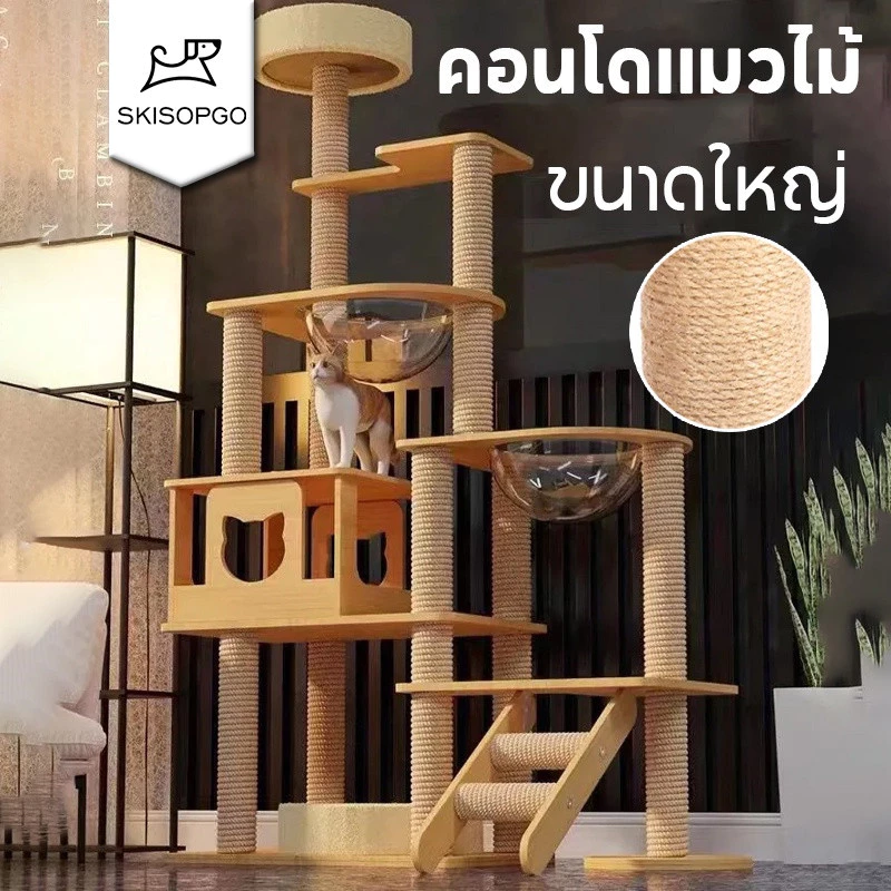 SKISOPGO คอนโดแมวหลังใหญ่