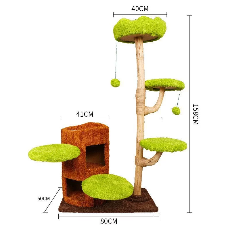 คอนโดแมวต้นไม้