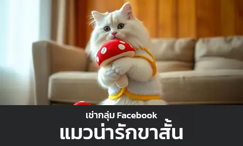 .webp