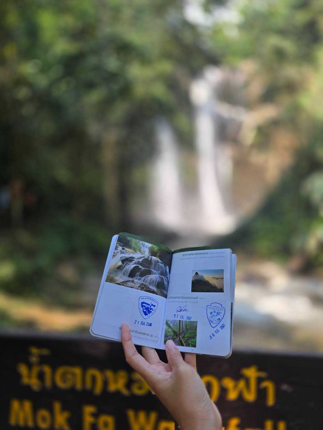 รีวิวน้ำตกหมอกฟ้า-เชียงใหม่-เดินง่าย-สวยอลังการ (6).jpg