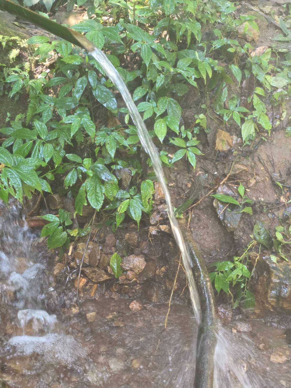 รีวิวน้ำตกหมอกฟ้า-เชียงใหม่-เดินง่าย-สวยอลังการ (3).jpg